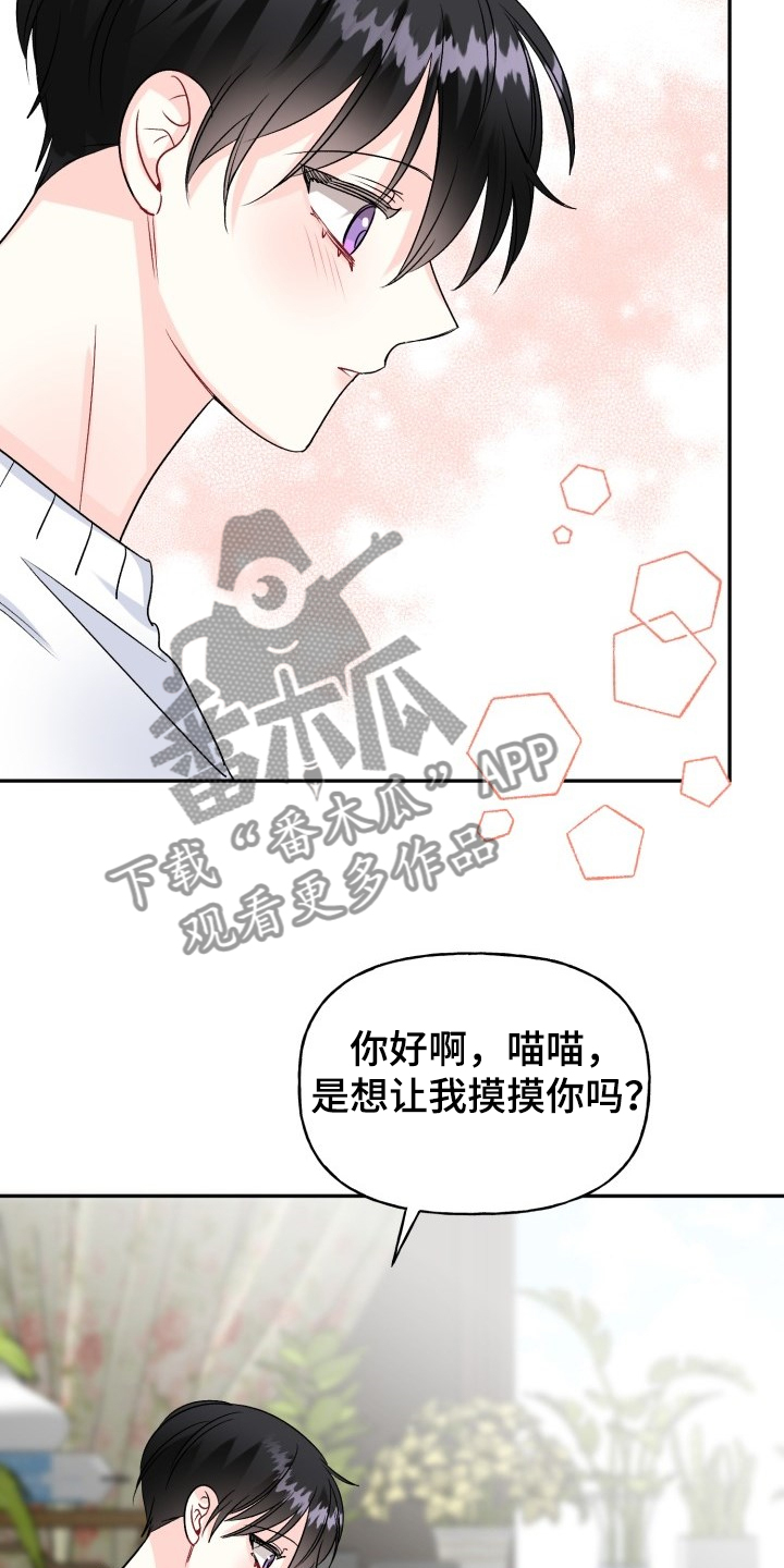 第103章：好像喵喵10