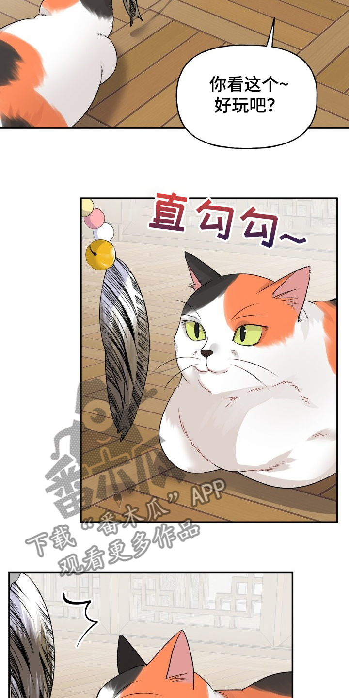 第103章：好像喵喵1