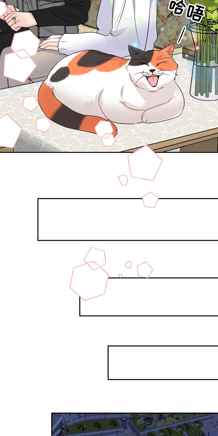 第104章：结婚的事7