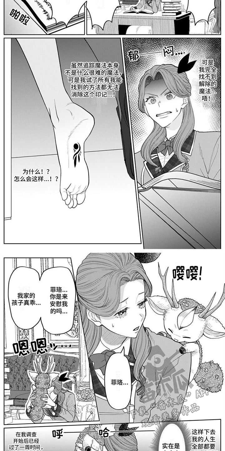 第9章：恶魔5