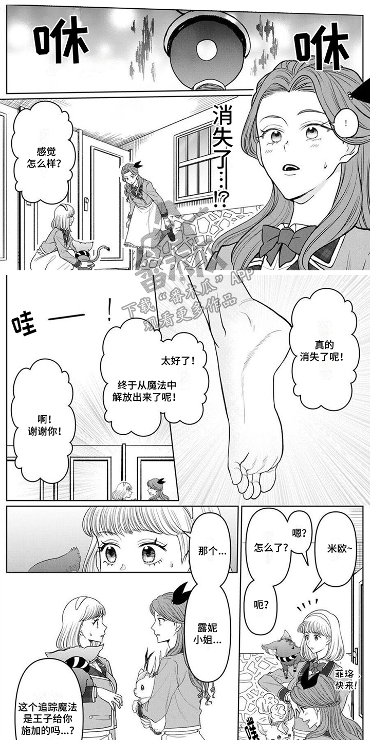 第11章：变身  0