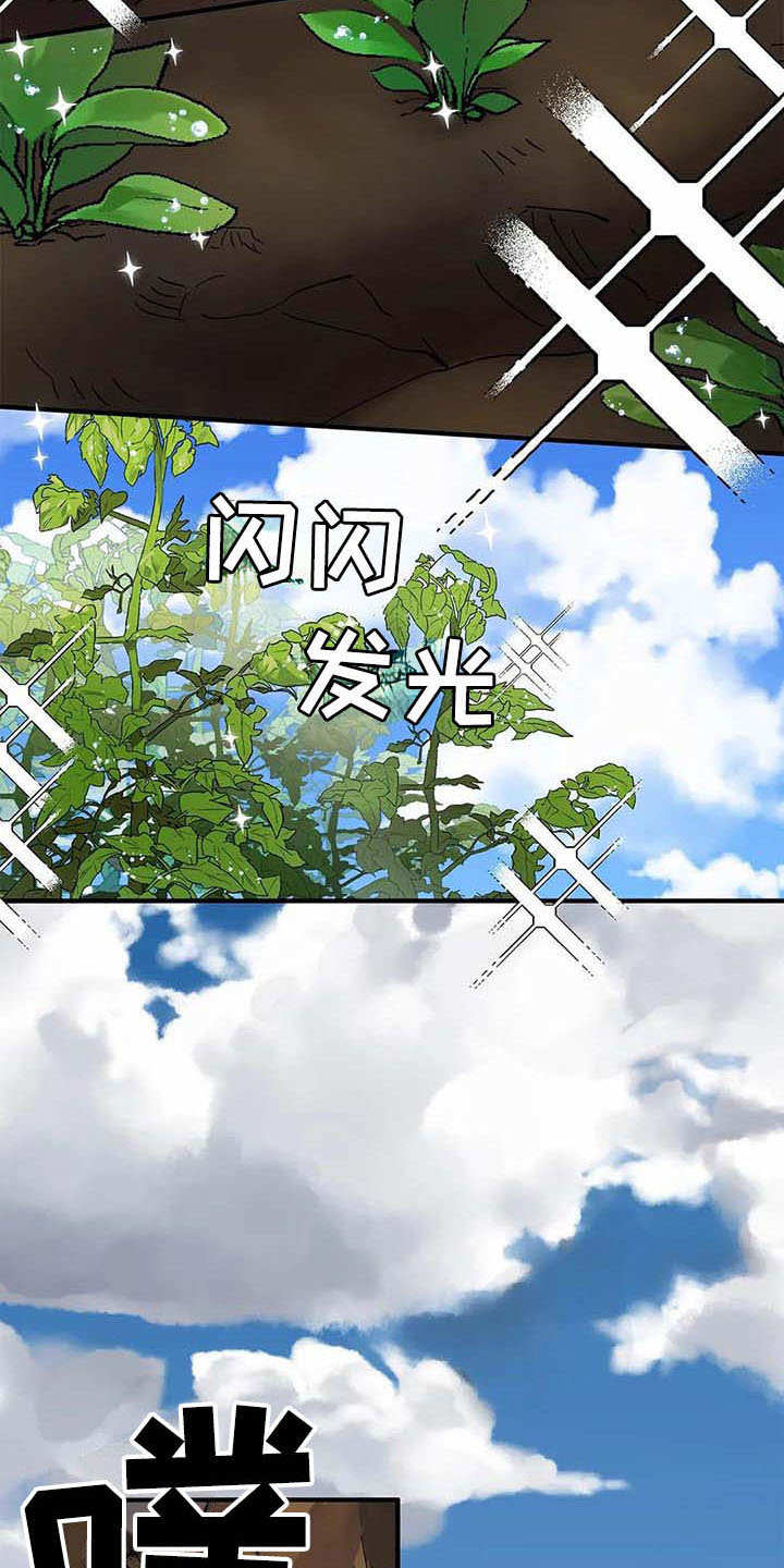 第4章：勤奋6