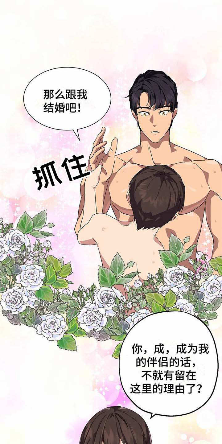 第15章：开花结果（完结）13