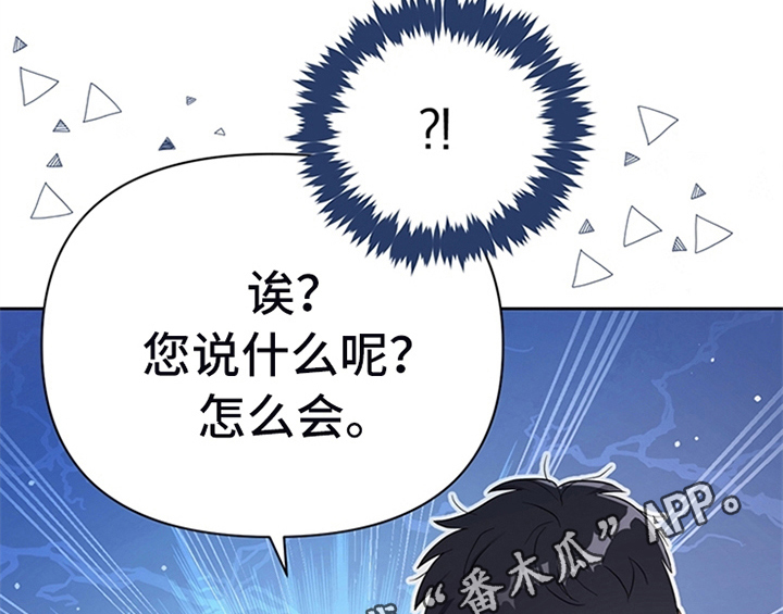第13章：新印象46