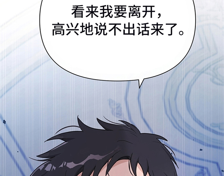 第13章：新印象43