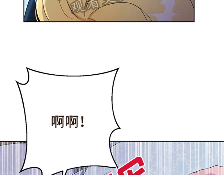 第24章：拿枕头44