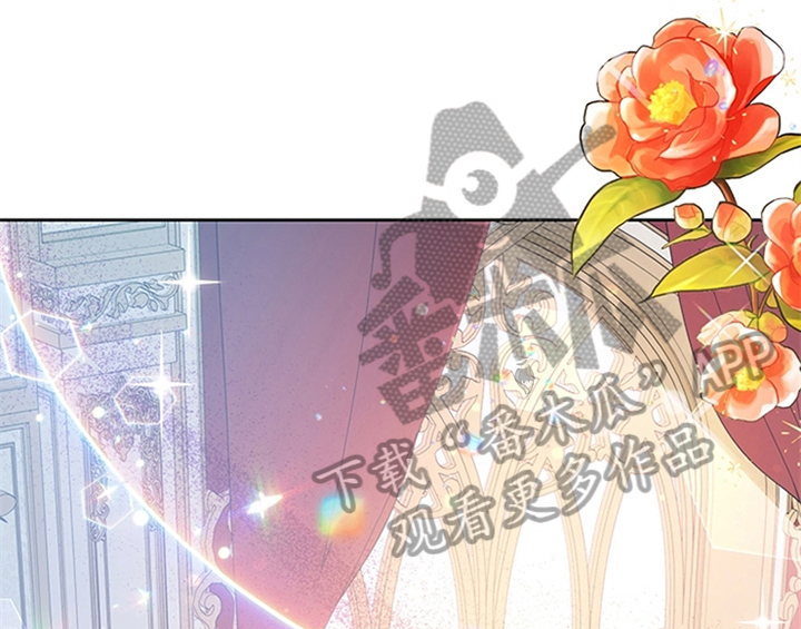 第34章：要求16