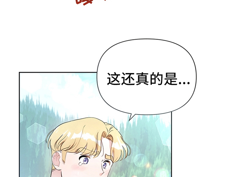 第20章：吃土豆21