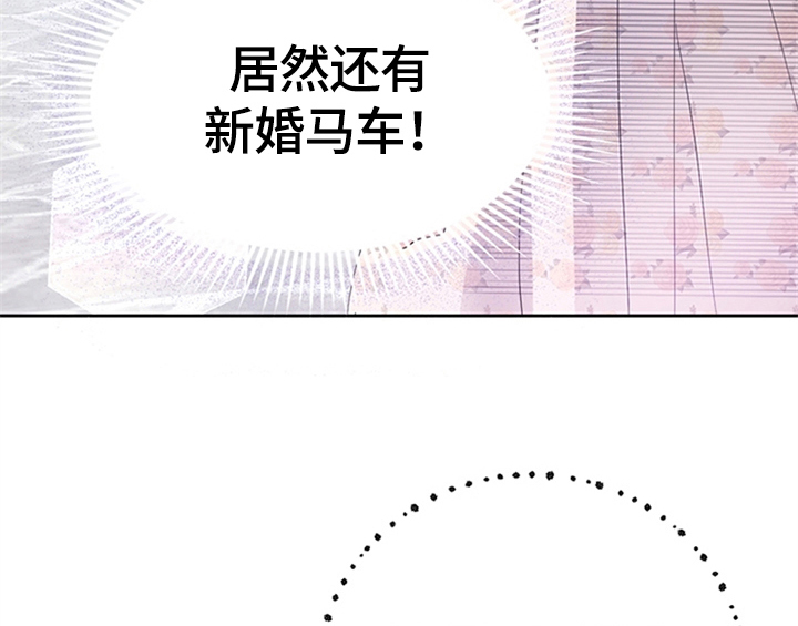 第28章：打算36