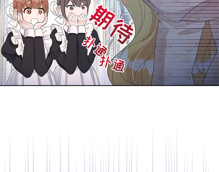 第28章：打算11