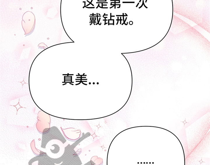 第32章：买戒指46