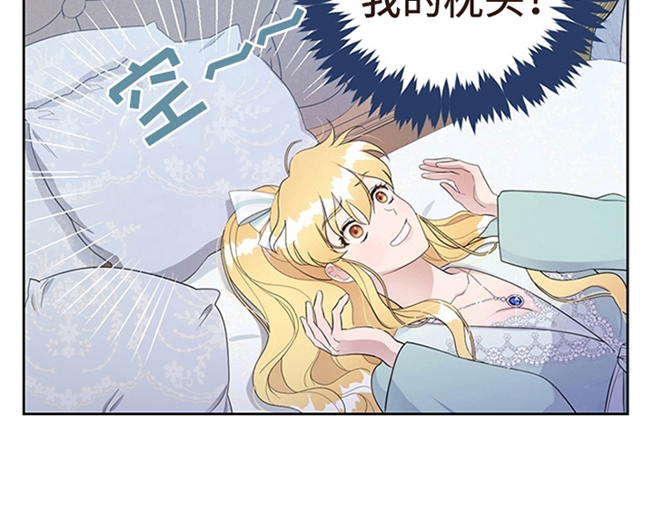 第24章：拿枕头47