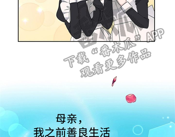 第11章：欺骗43