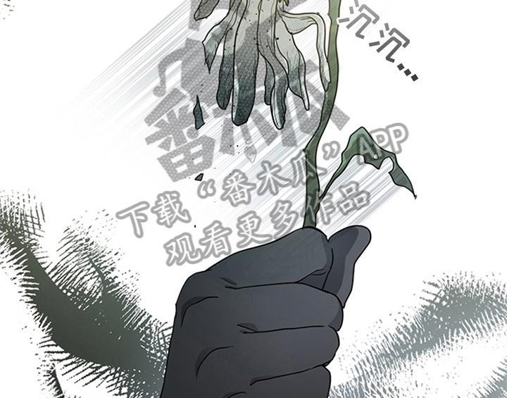 第18章：礼物33