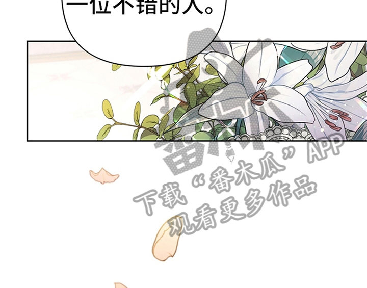第8章：决定51