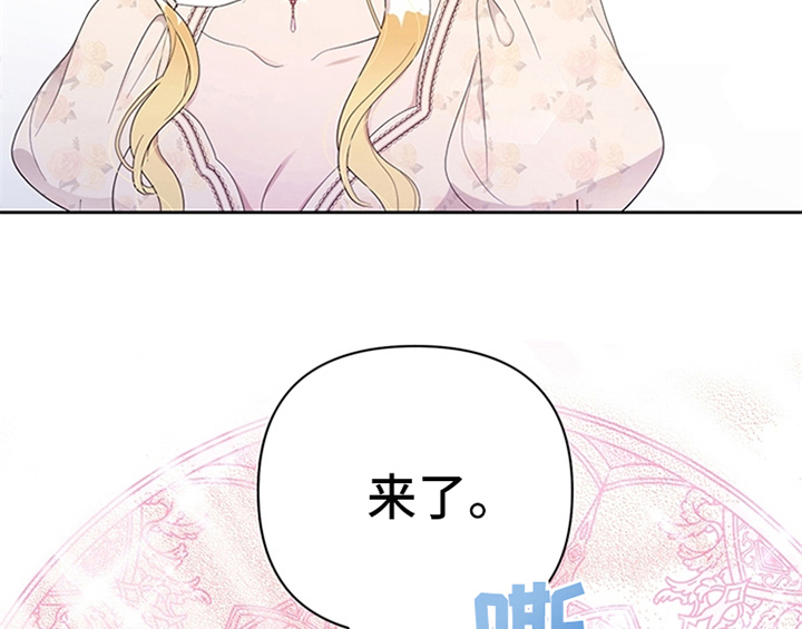 第28章：打算38