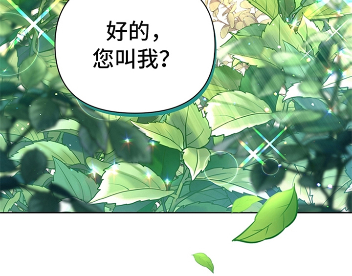 第8章：决定48
