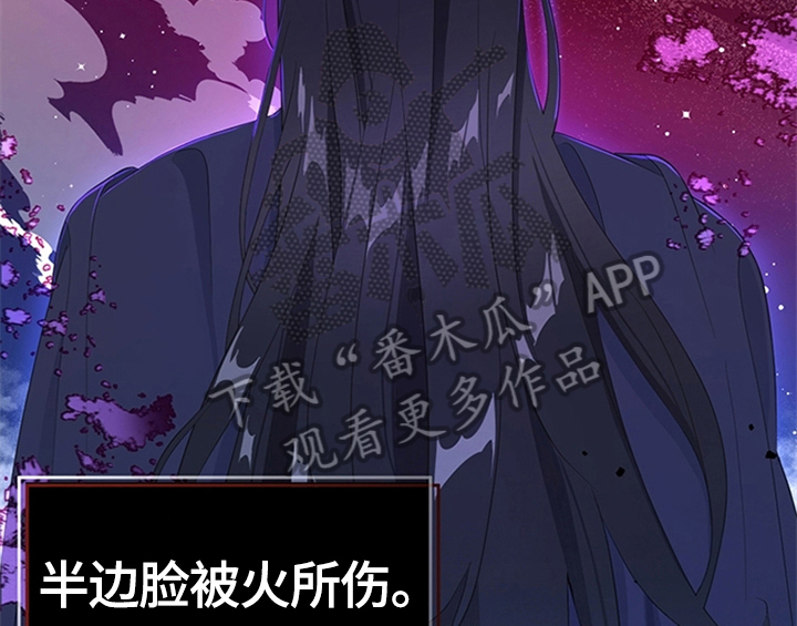 第31章：表明身份12