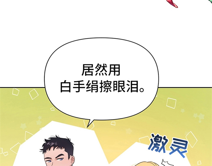 第14章：手绢33