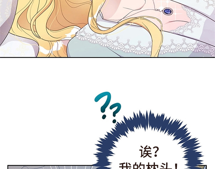 第24章：拿枕头46