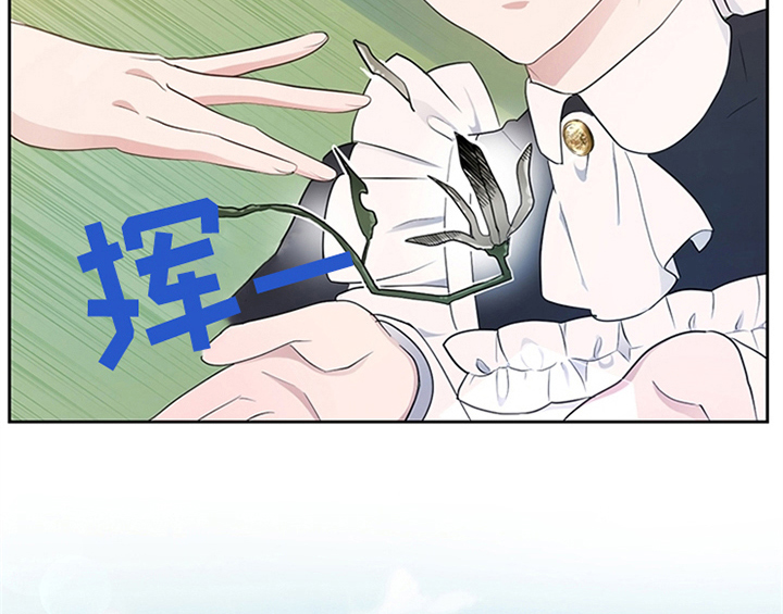 第19章：问答5