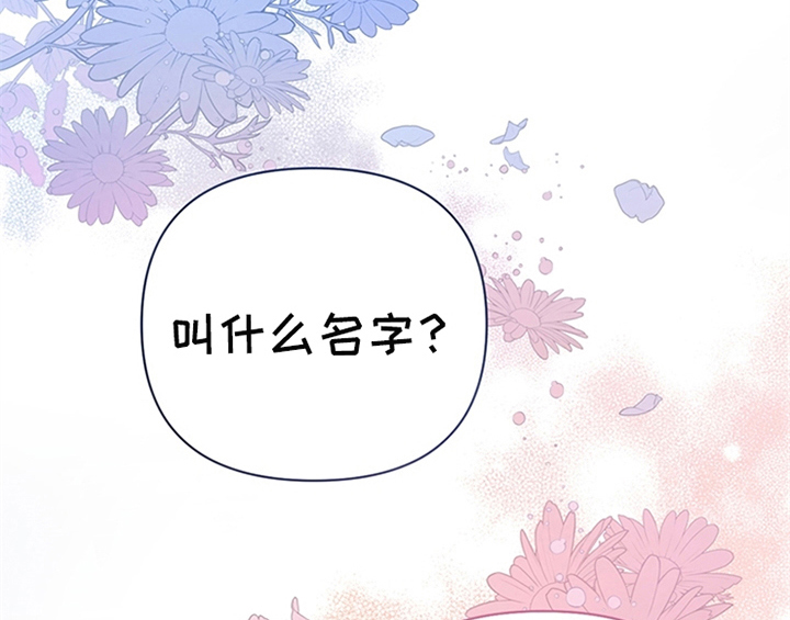 第5章：受伤40