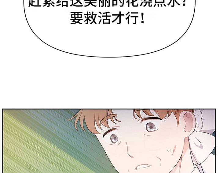 第19章：问答4