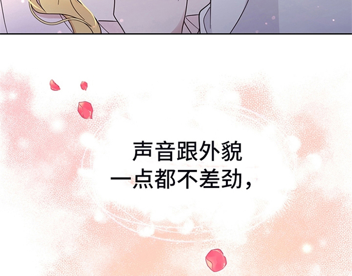 第13章：新印象41