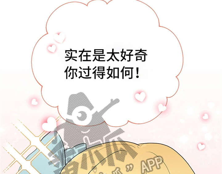第19章：问答21