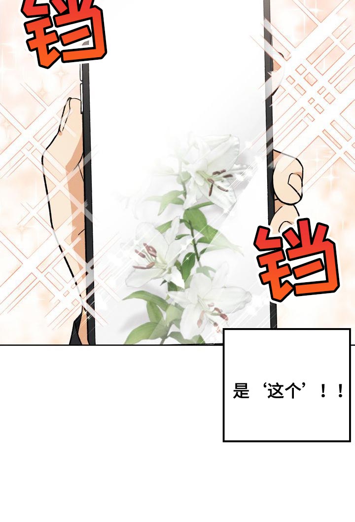 第39章：厚脸皮的家伙17