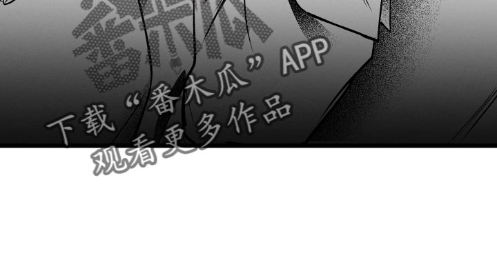 第27章：创作小说31