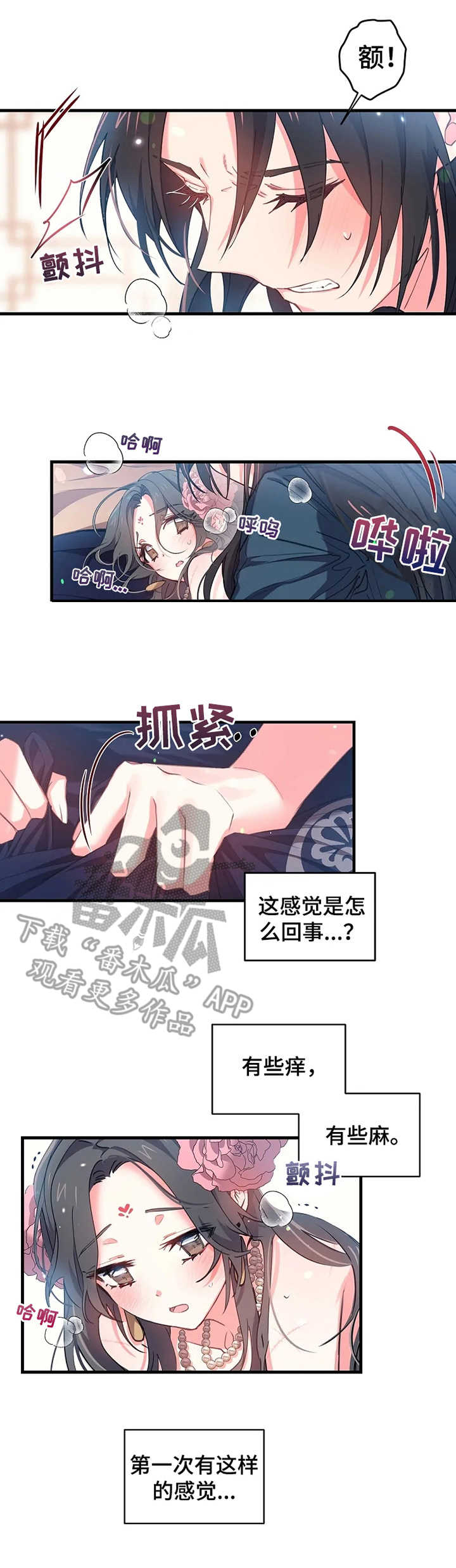 第11章：疯狂的味道1