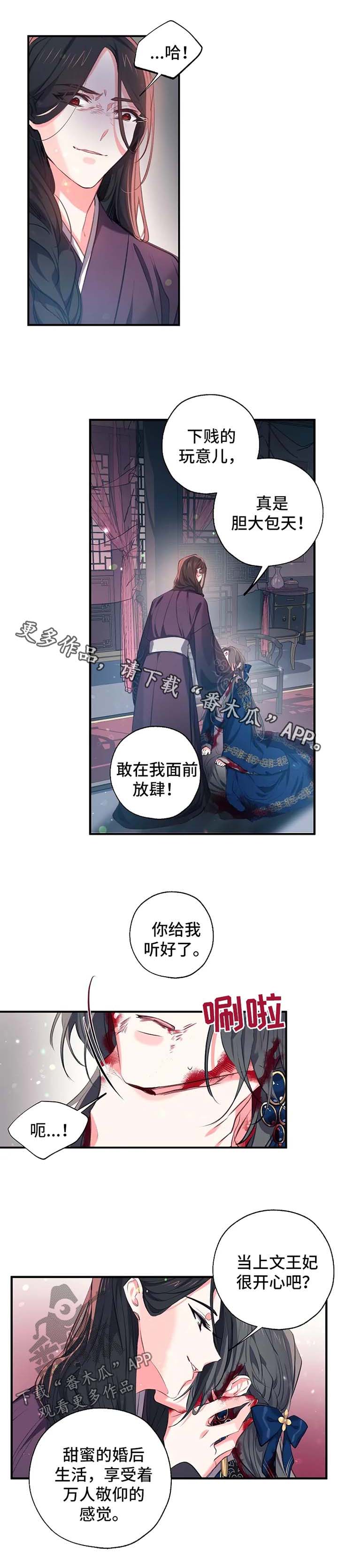 第54章：王妃之死0