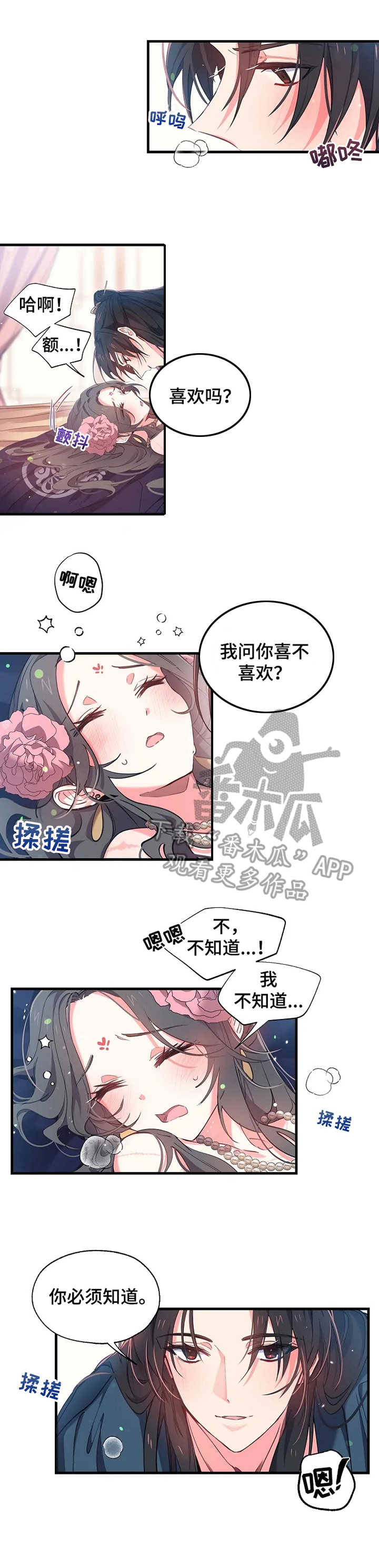 第11章：疯狂的味道3