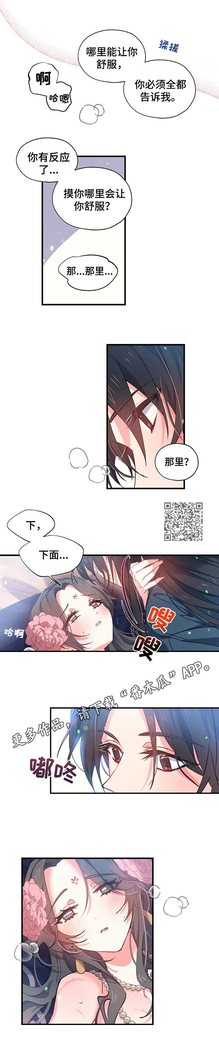 第11章：疯狂的味道4