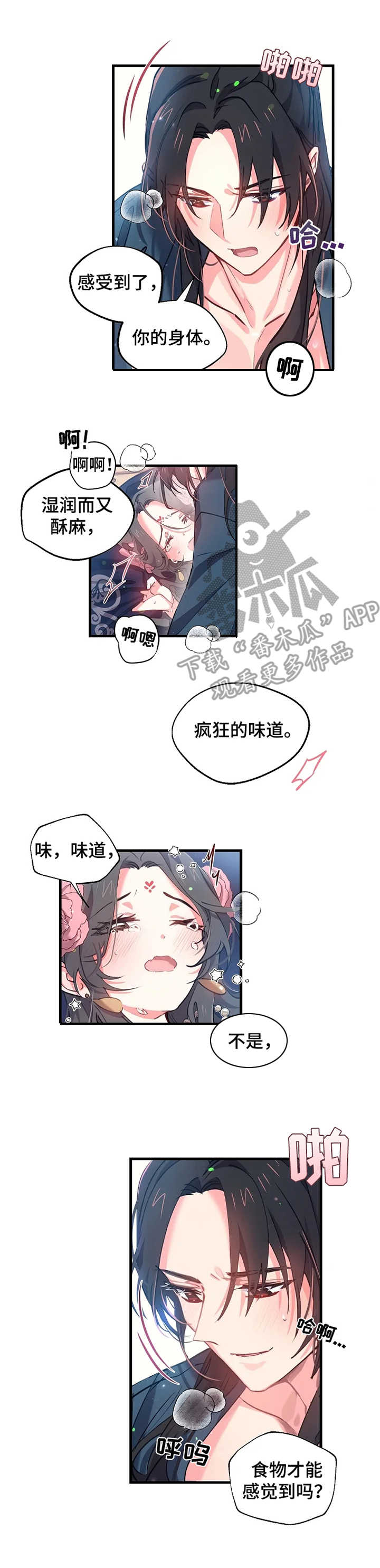 第11章：疯狂的味道8