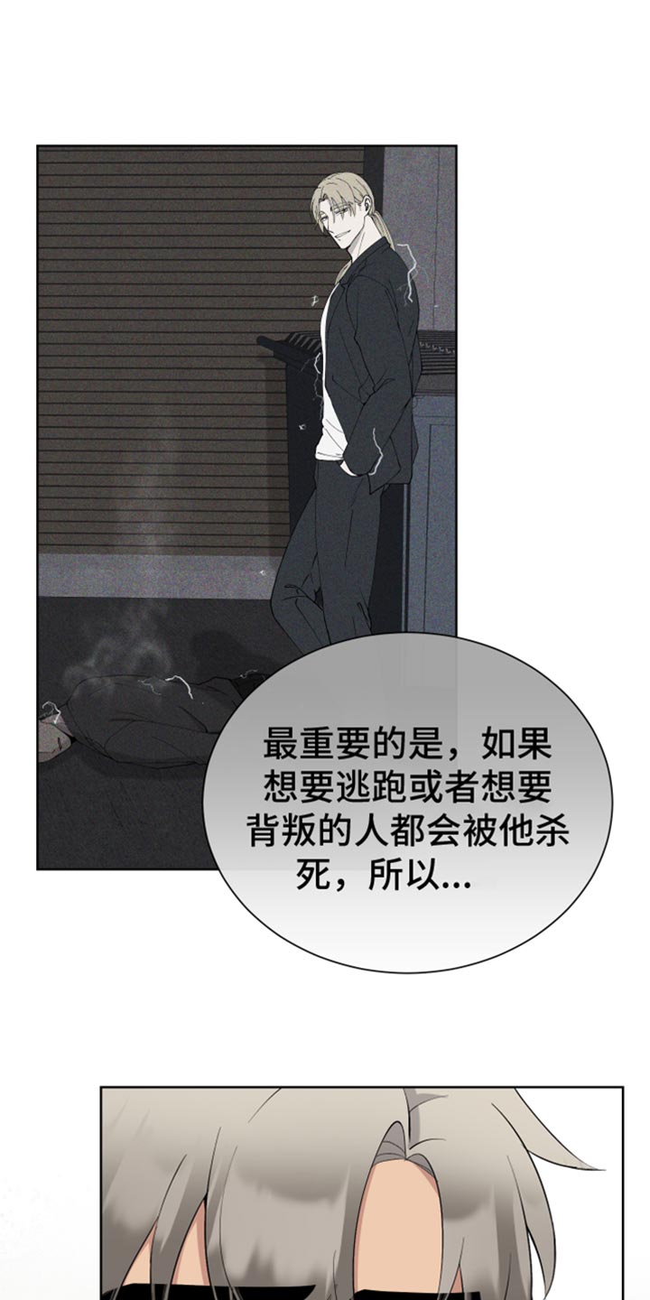 第19章：交往19