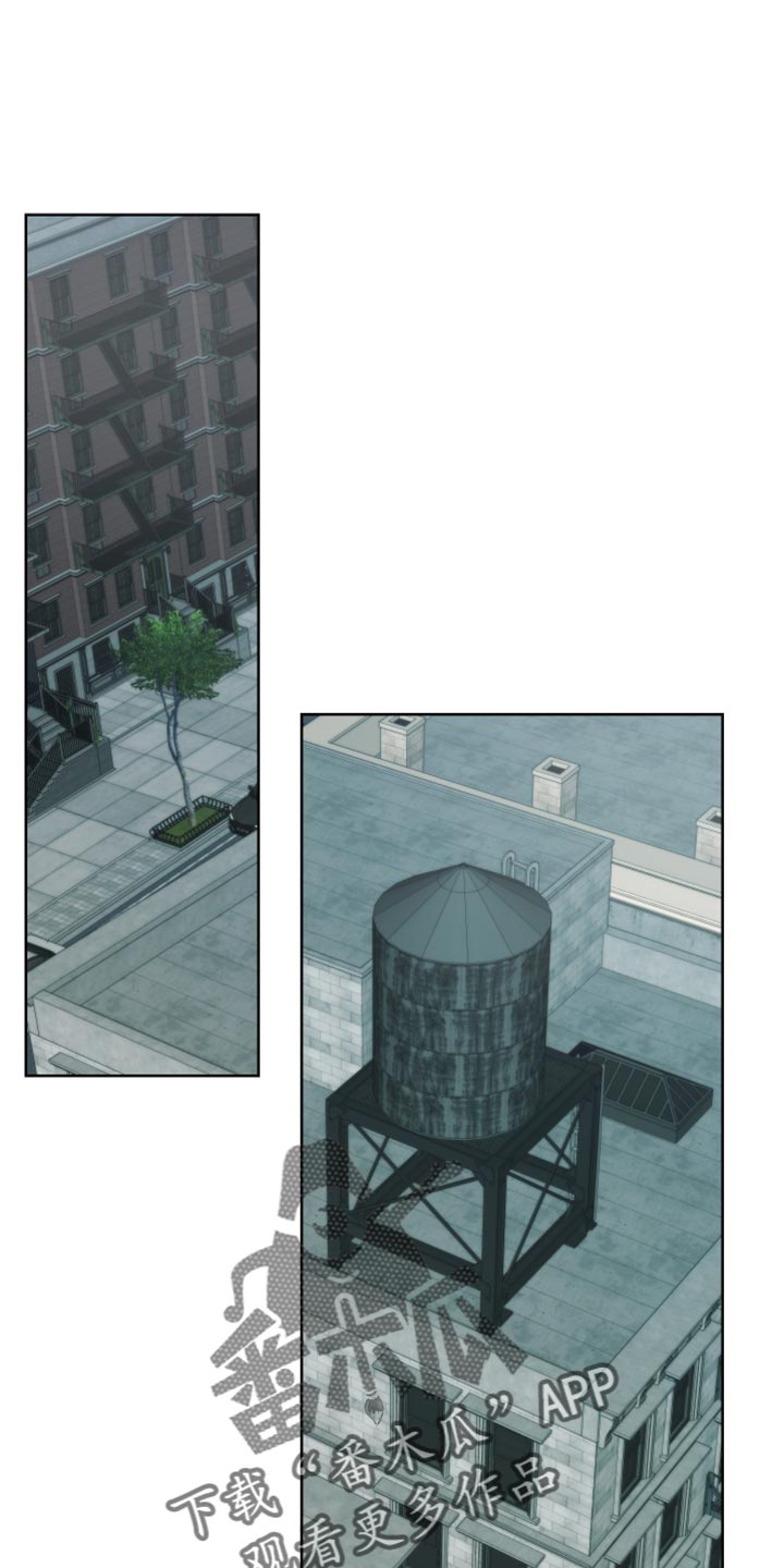 第42章：诱饵0