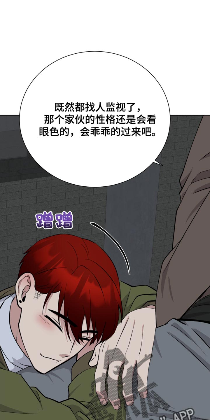第41章：背叛26