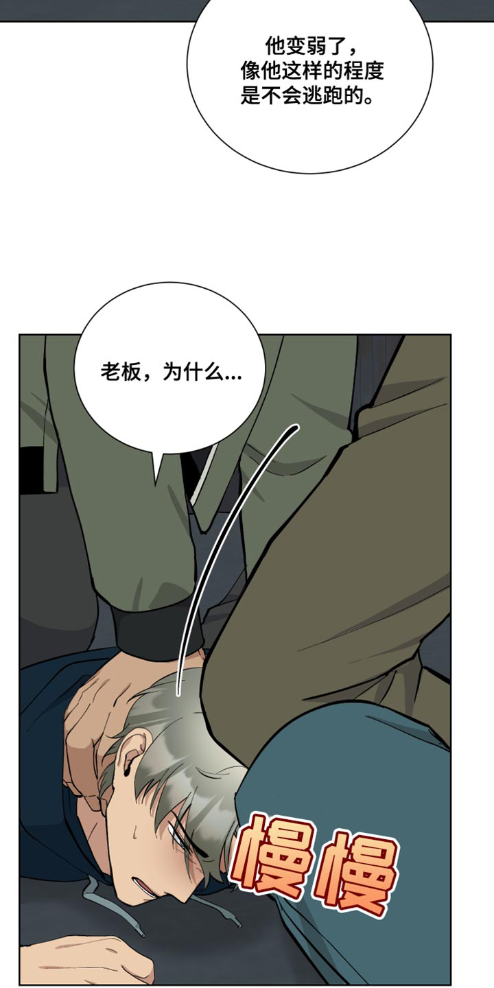 第43章：单独行动7