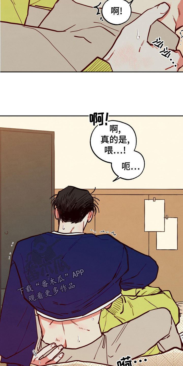 第29章：【第二季】待着别动14