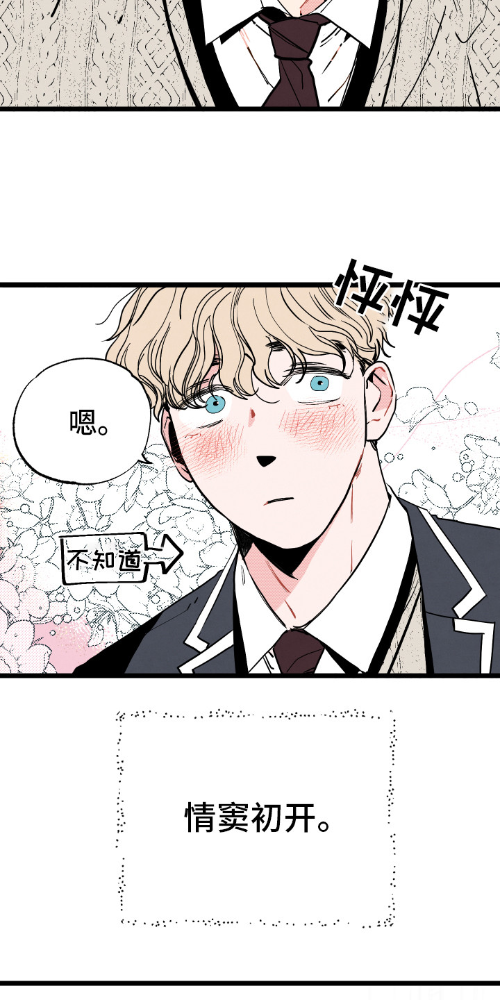第1章：情窦初开4