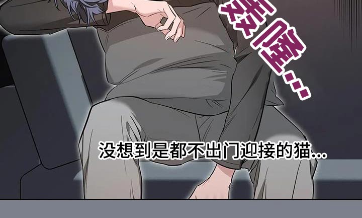 第151章：【第二季】理由17