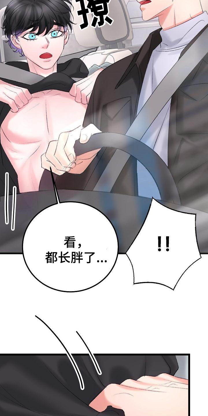 第53章：手机5