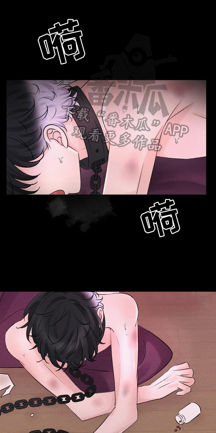 第15章：静养0