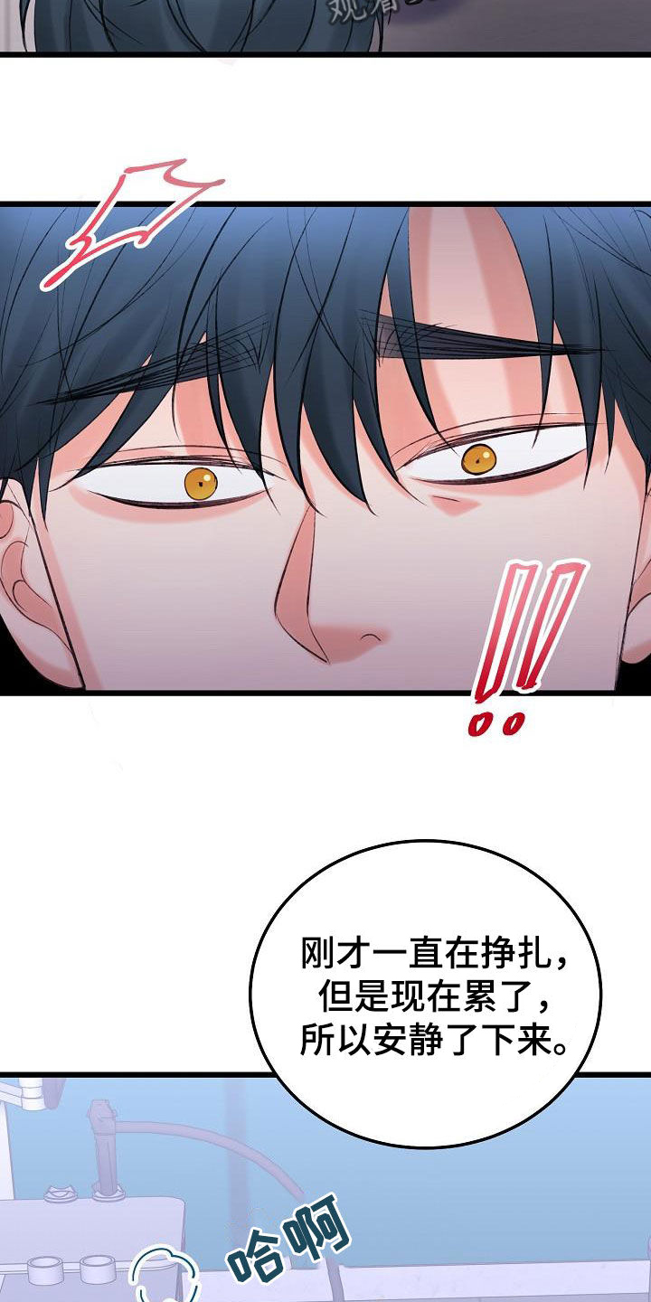 第66章：找到了8