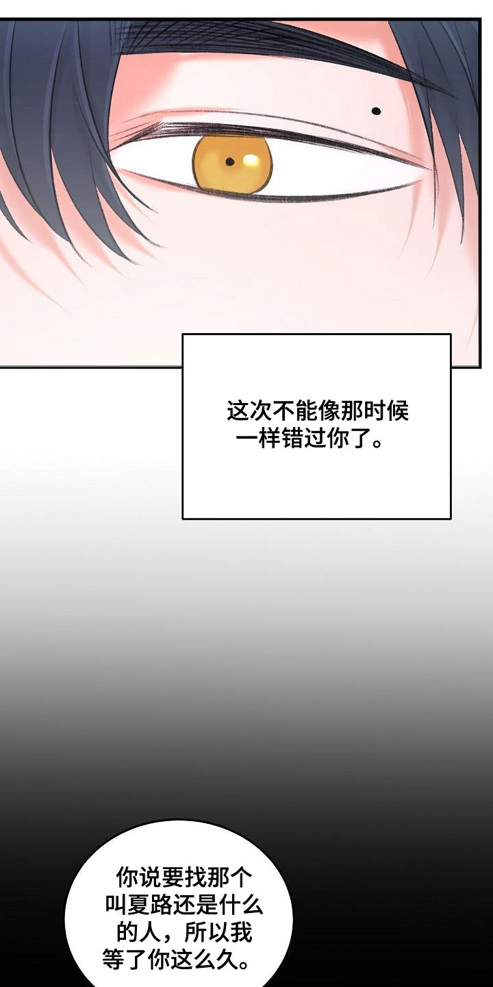 第38章：杀了我19