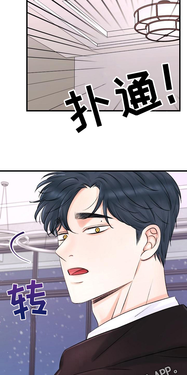 第14章：收留14