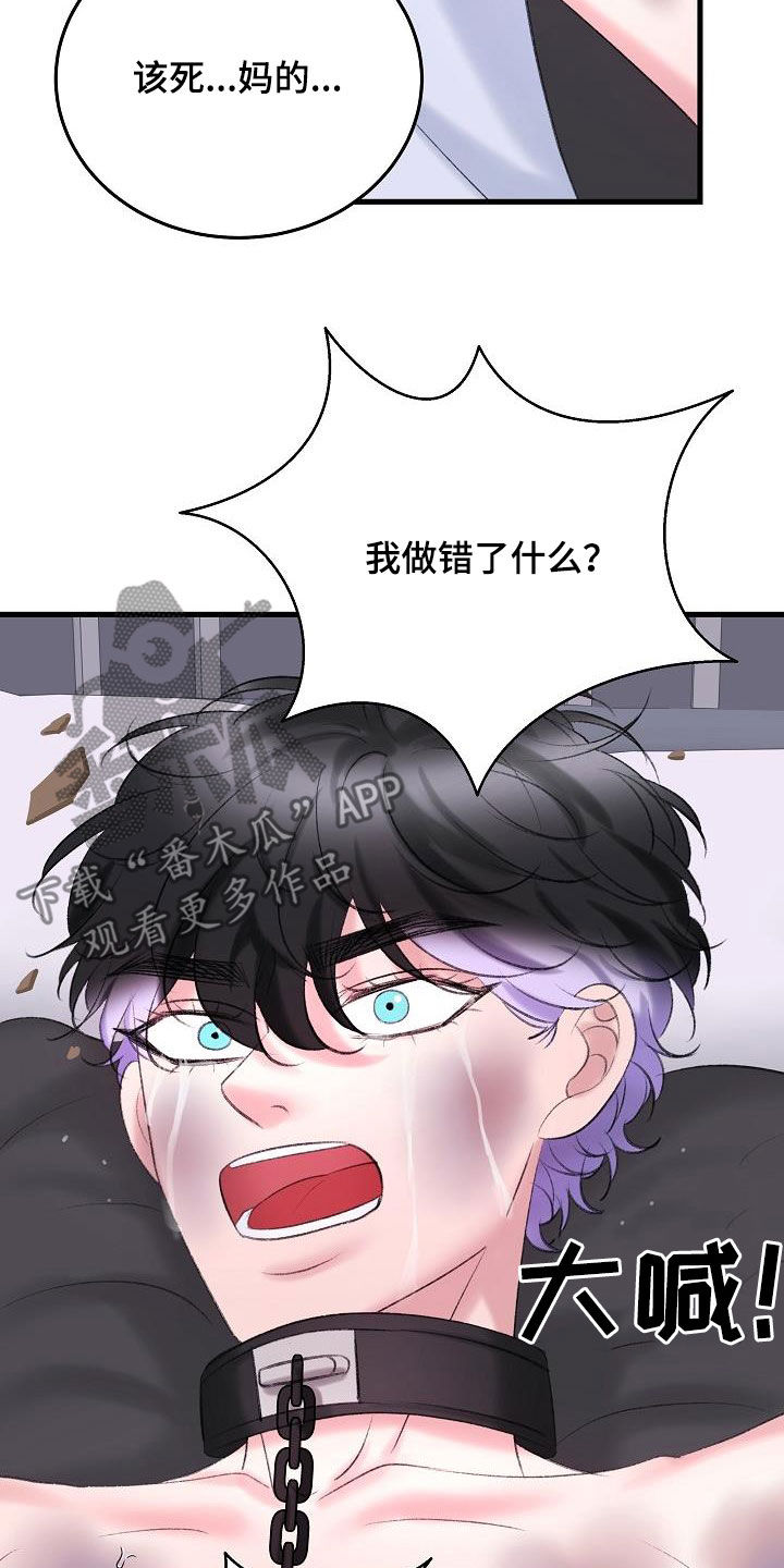 第40章：熟悉的声音6