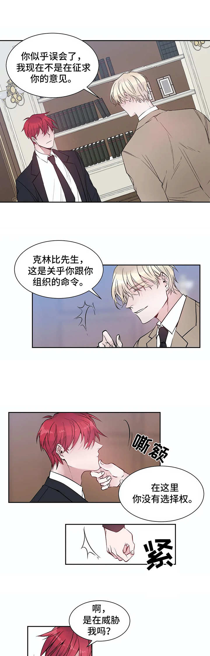 第2章：初印象10